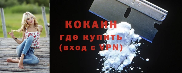 крисы Медвежьегорск