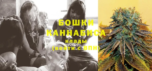 крисы Медвежьегорск