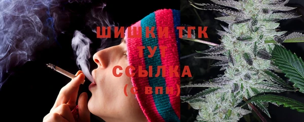 крисы Медвежьегорск