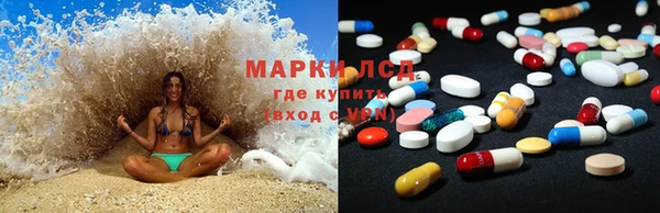 крисы Медвежьегорск