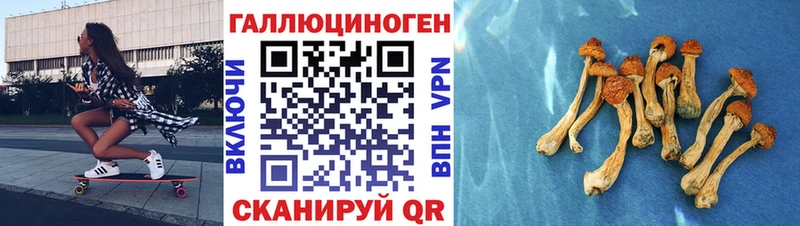 omg   Суворов  Псилоцибиновые грибы MAGIC MUSHROOMS 